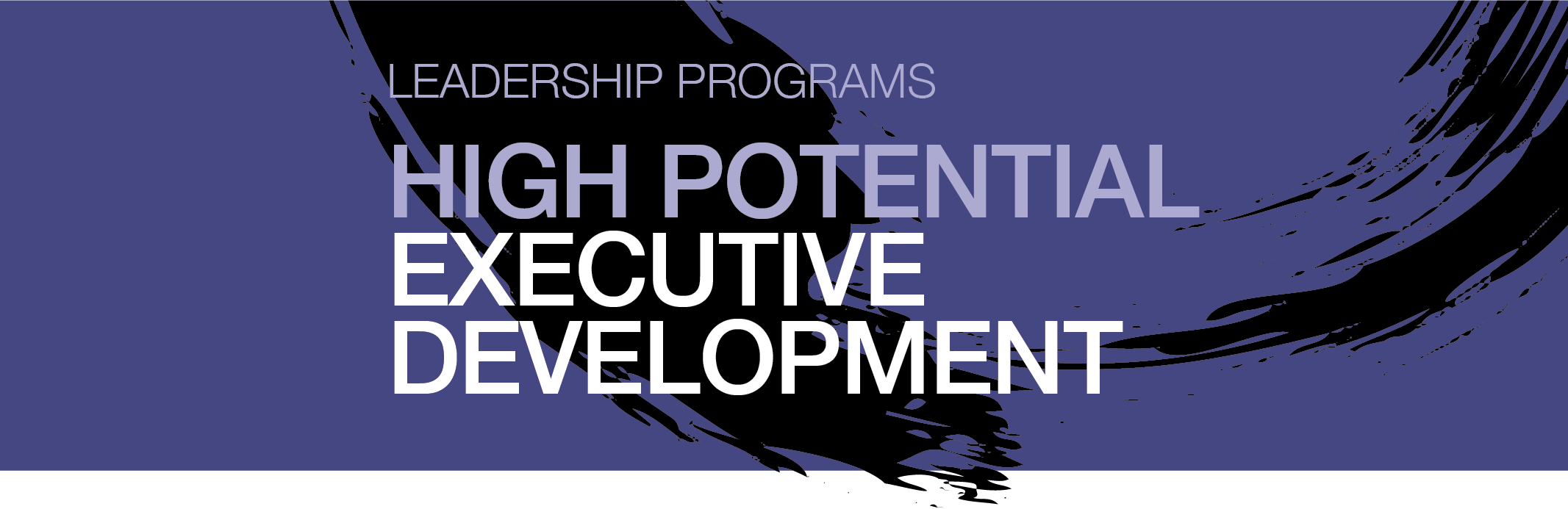 High Potential Executive Development